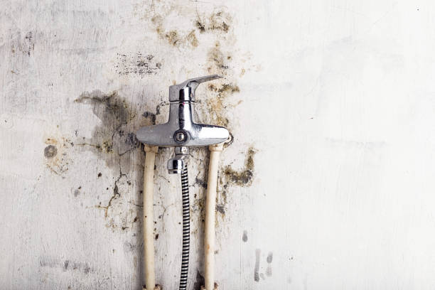 Mold Removal Process in South Berwick, ME