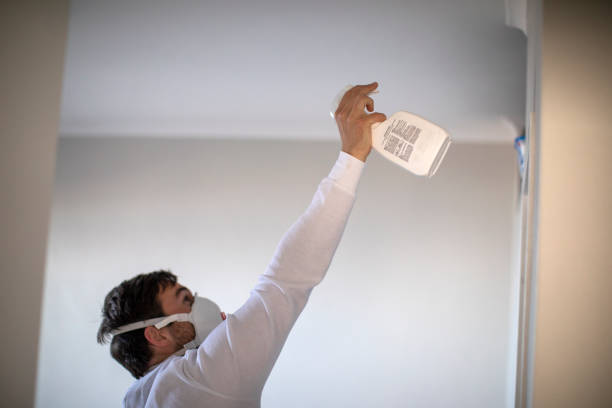 Best Toxic Mold Removal  in South Berwick, ME