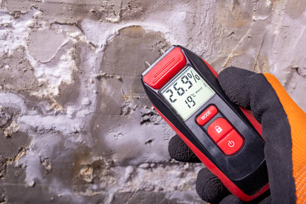 Best Commercial Mold Removal  in South Berwick, ME