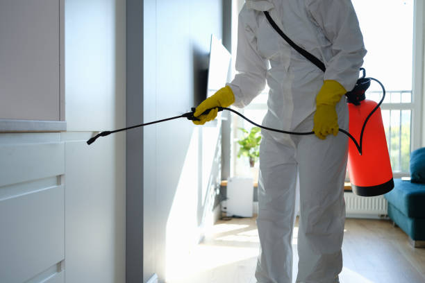 Best Certified Mold Removal  in South Berwick, ME
