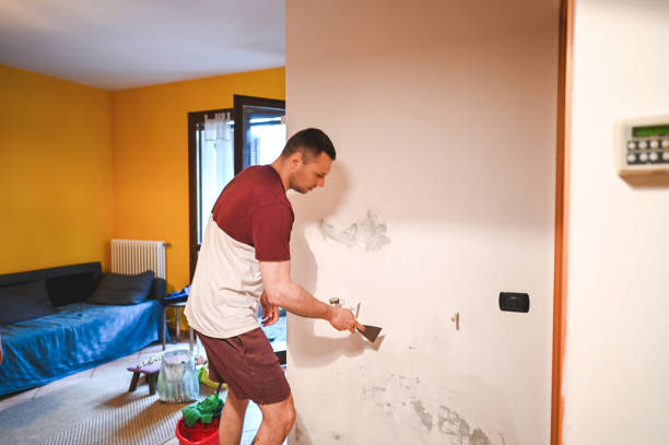 Best Office Mold Removal Services  in South Berwick, ME